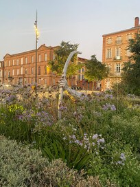 Gardens at Montauban