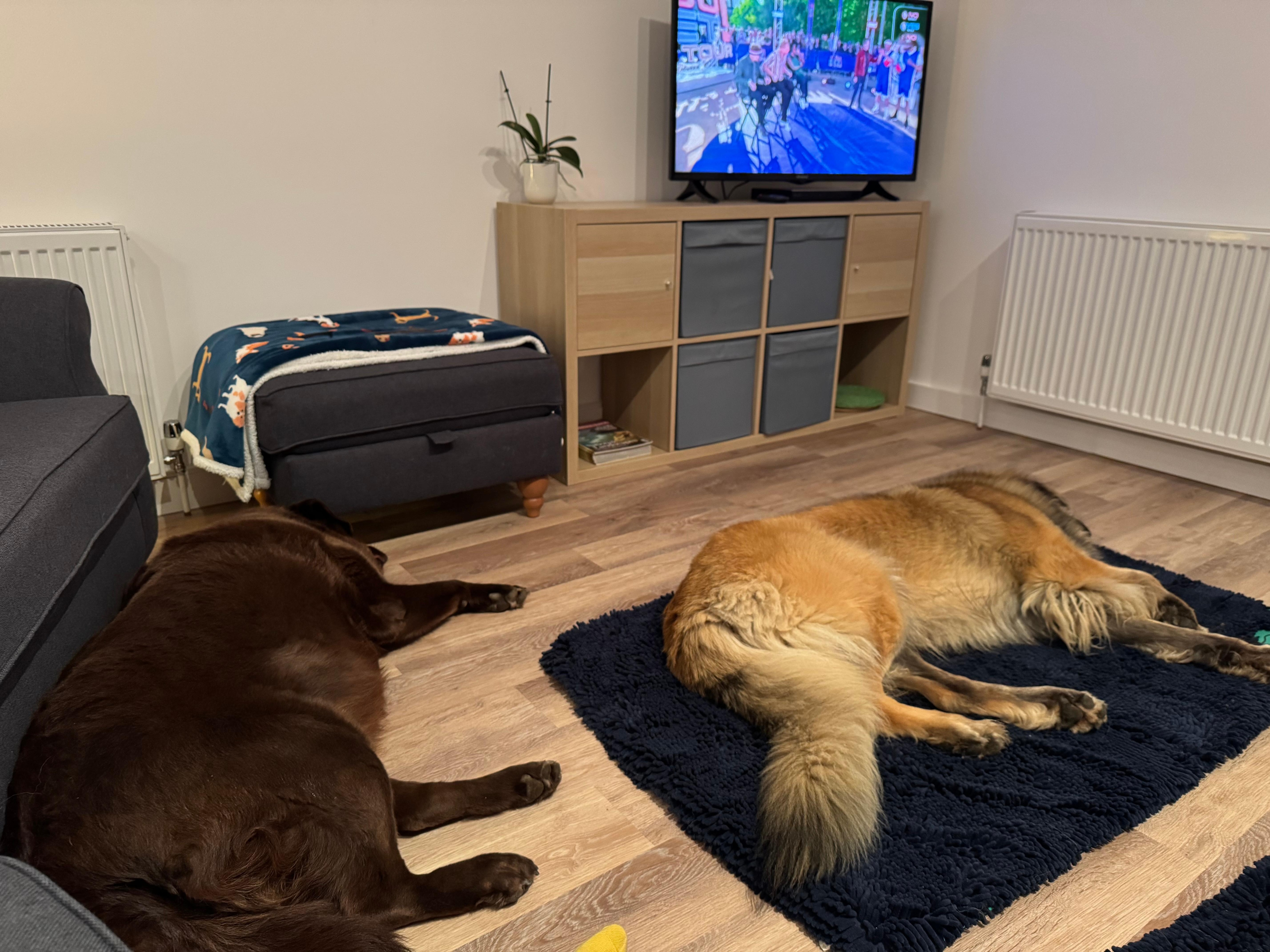 Relaxing after a walk