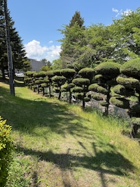 Touring the area.