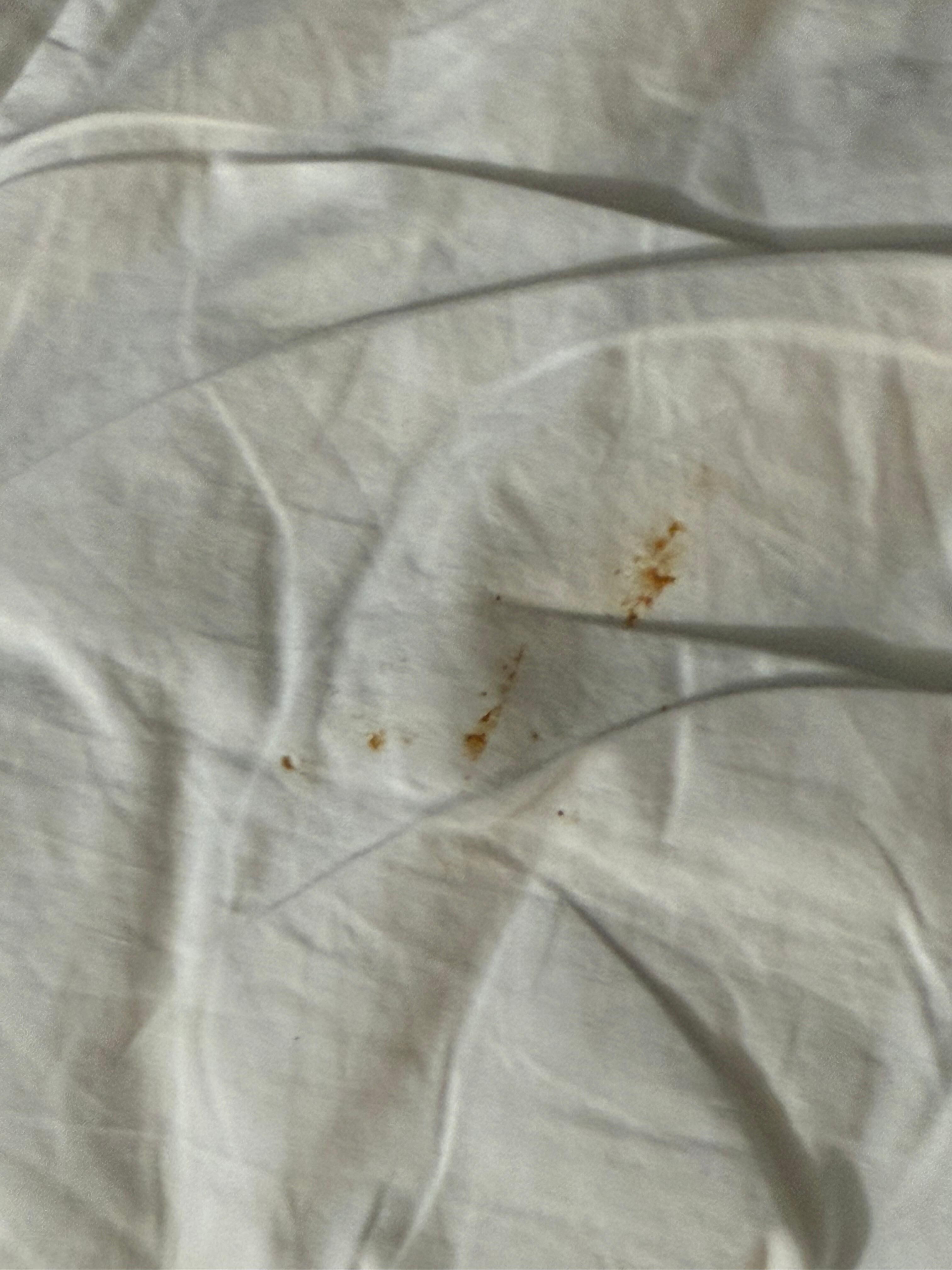 Dirty comforter
