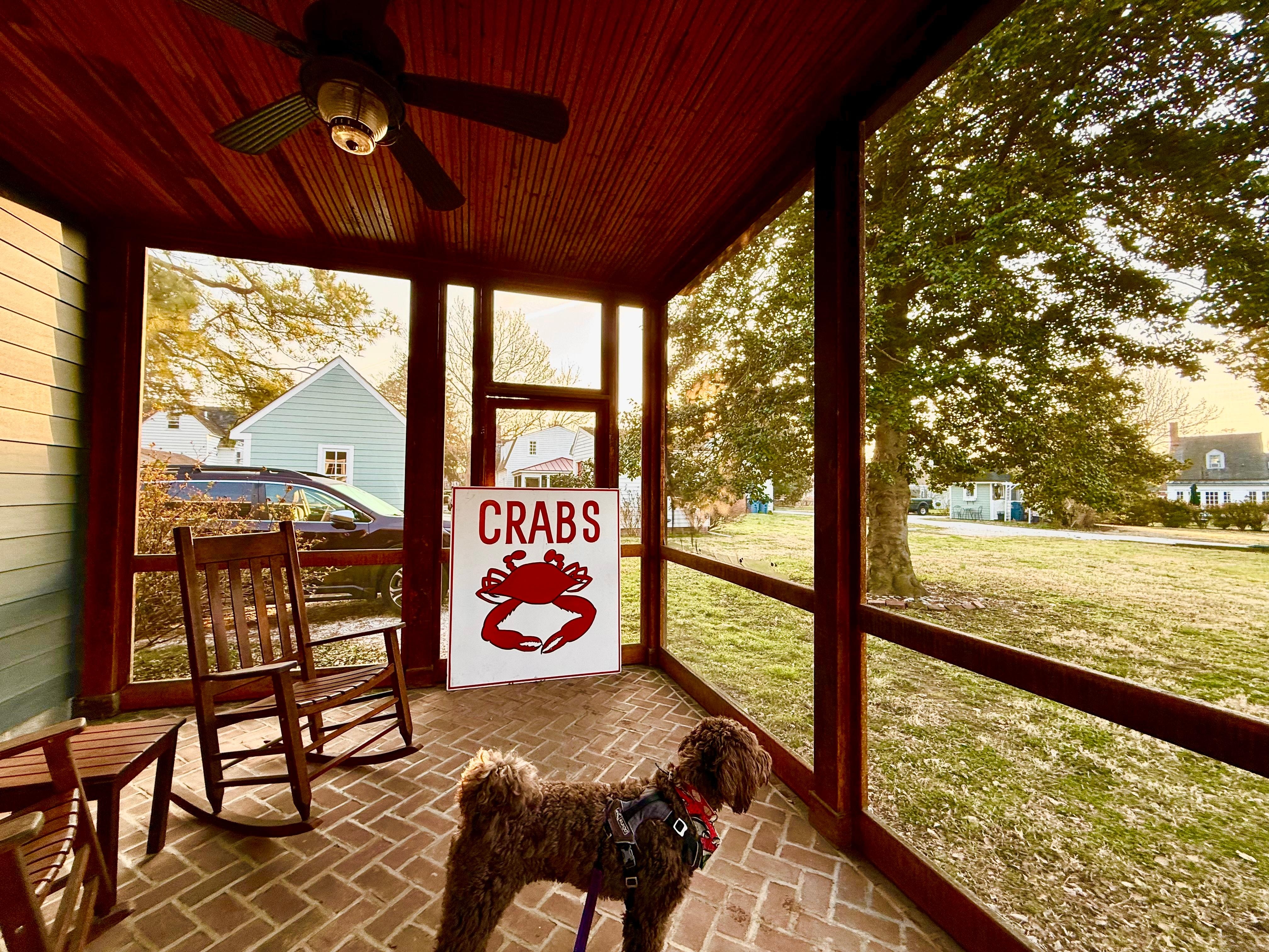 Rear screened in deck