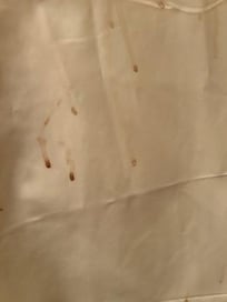 Drips on shower curtain, brownish color, looks like old blood
