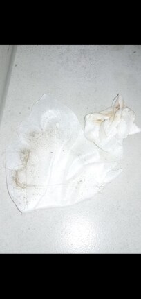 HAIR & DIRT IN BATHROOM