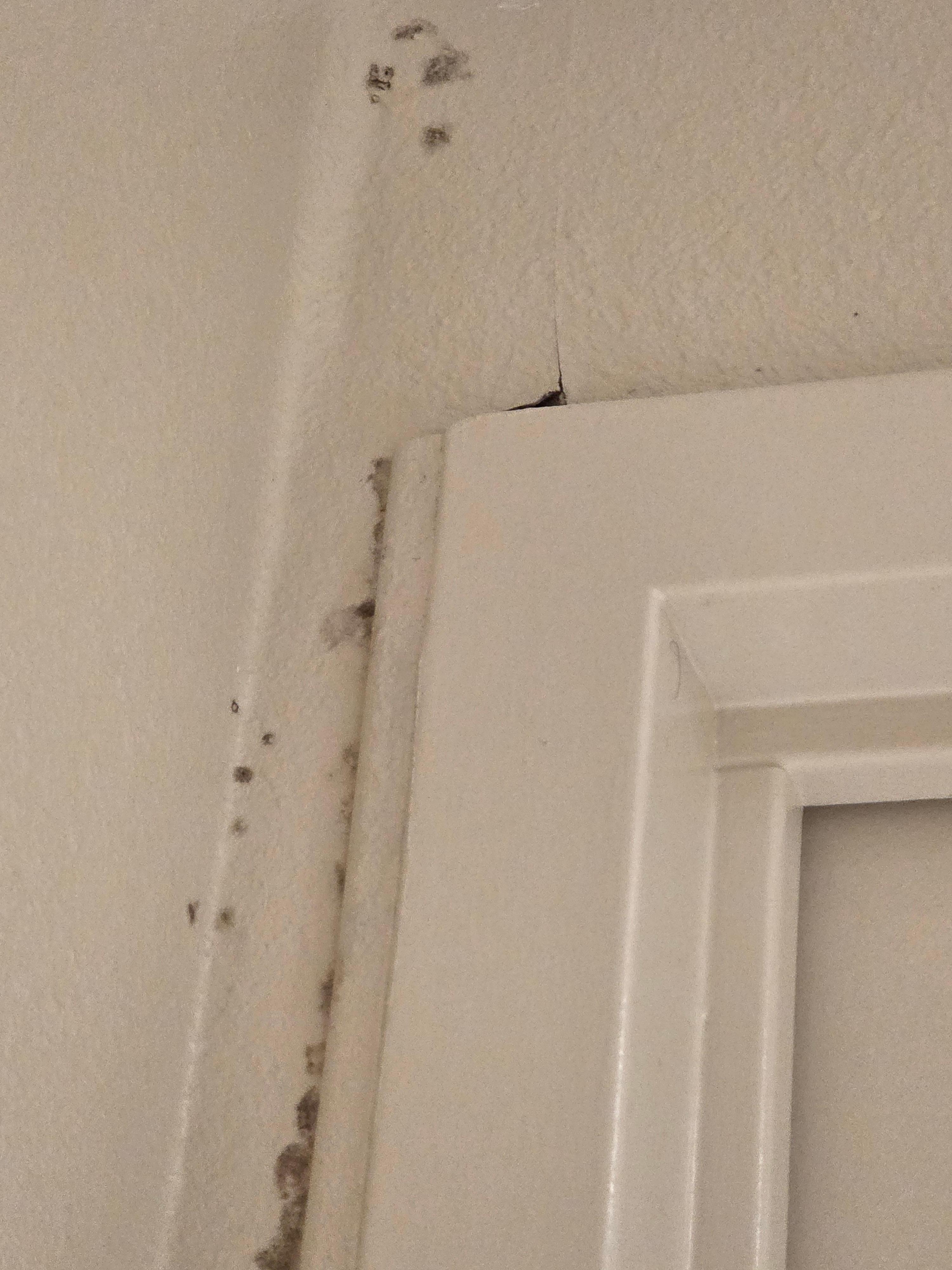 Mold in the bathroom 