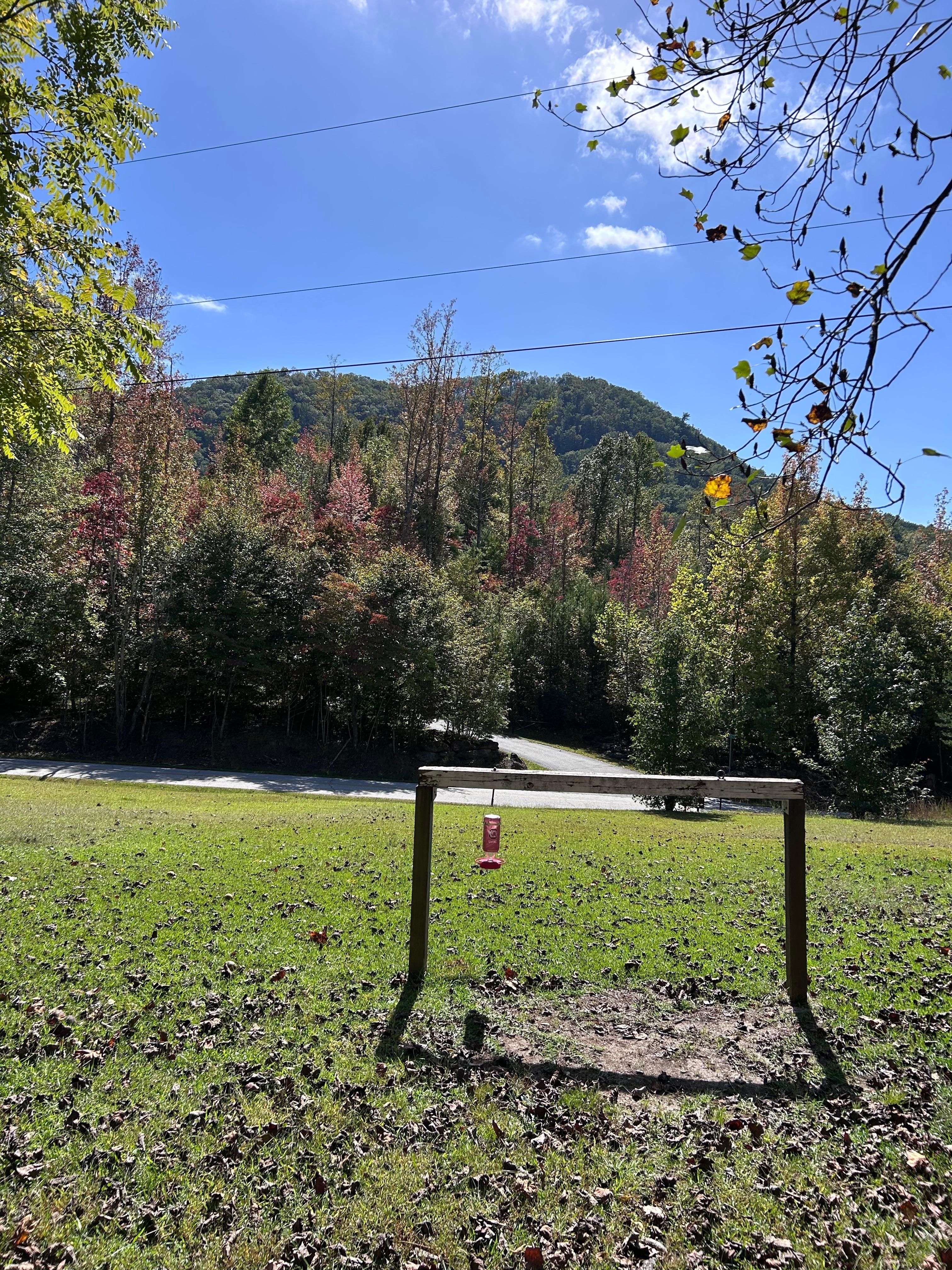 View from the front porch.
