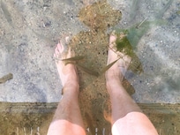 Curious fish