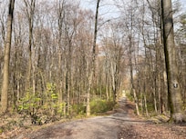 Nærliggende skov