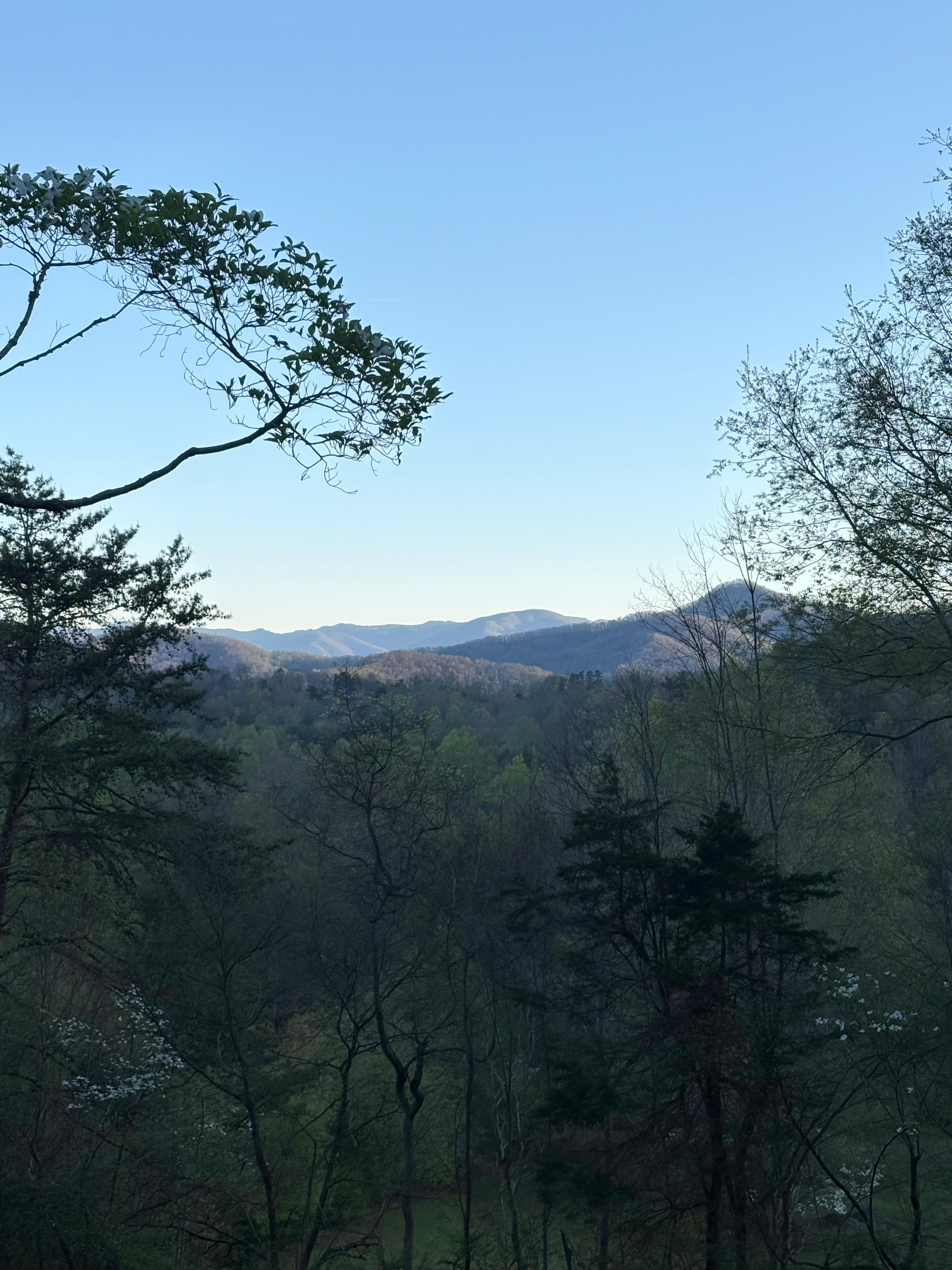 Morning view while having coffee on the front porch 