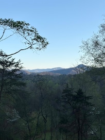 Morning view while having coffee on the front porch