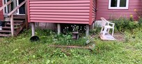 Junk all around back of house.