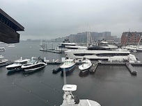 The view