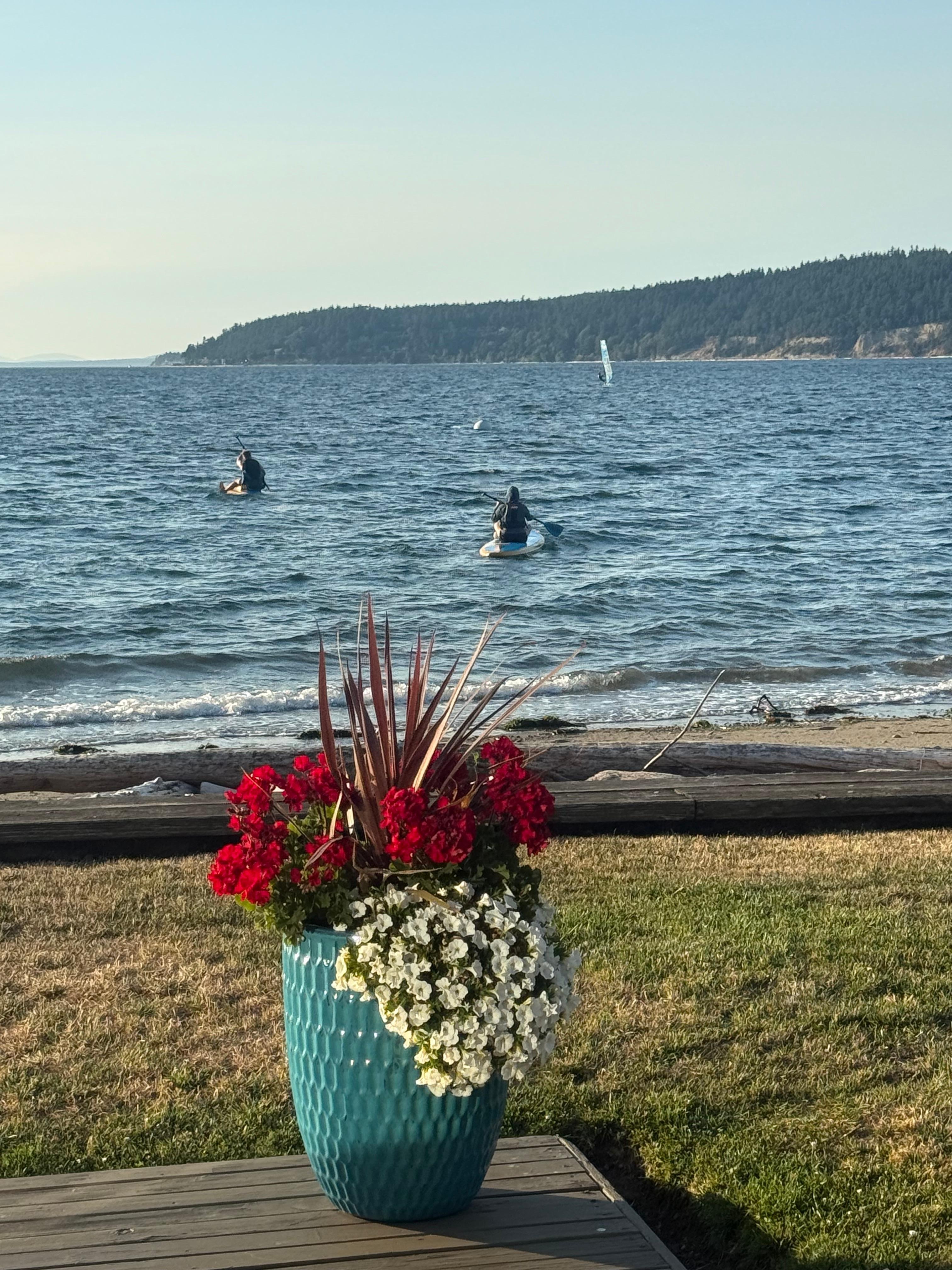 View off deck of house. 