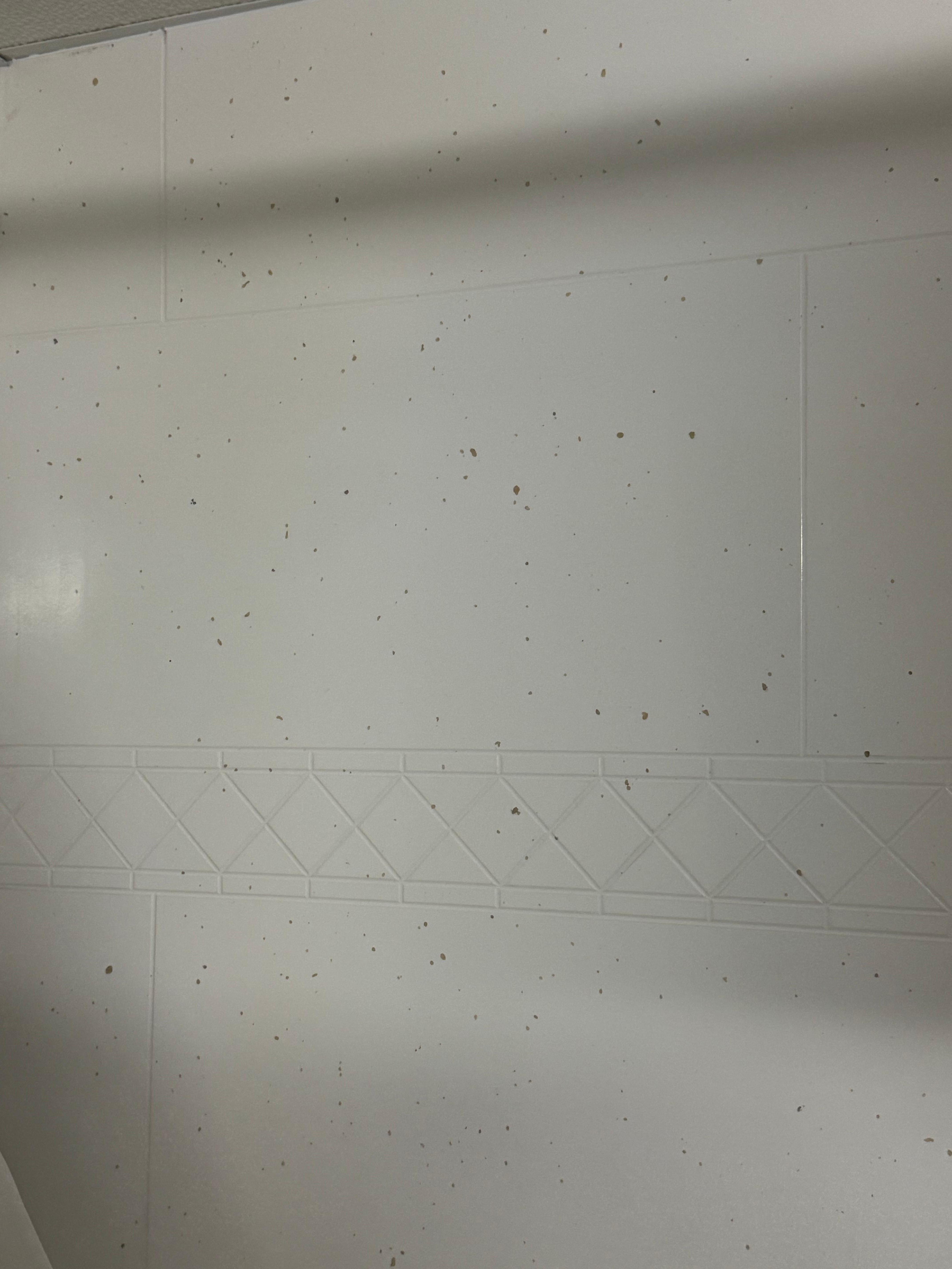 Shower Tile
