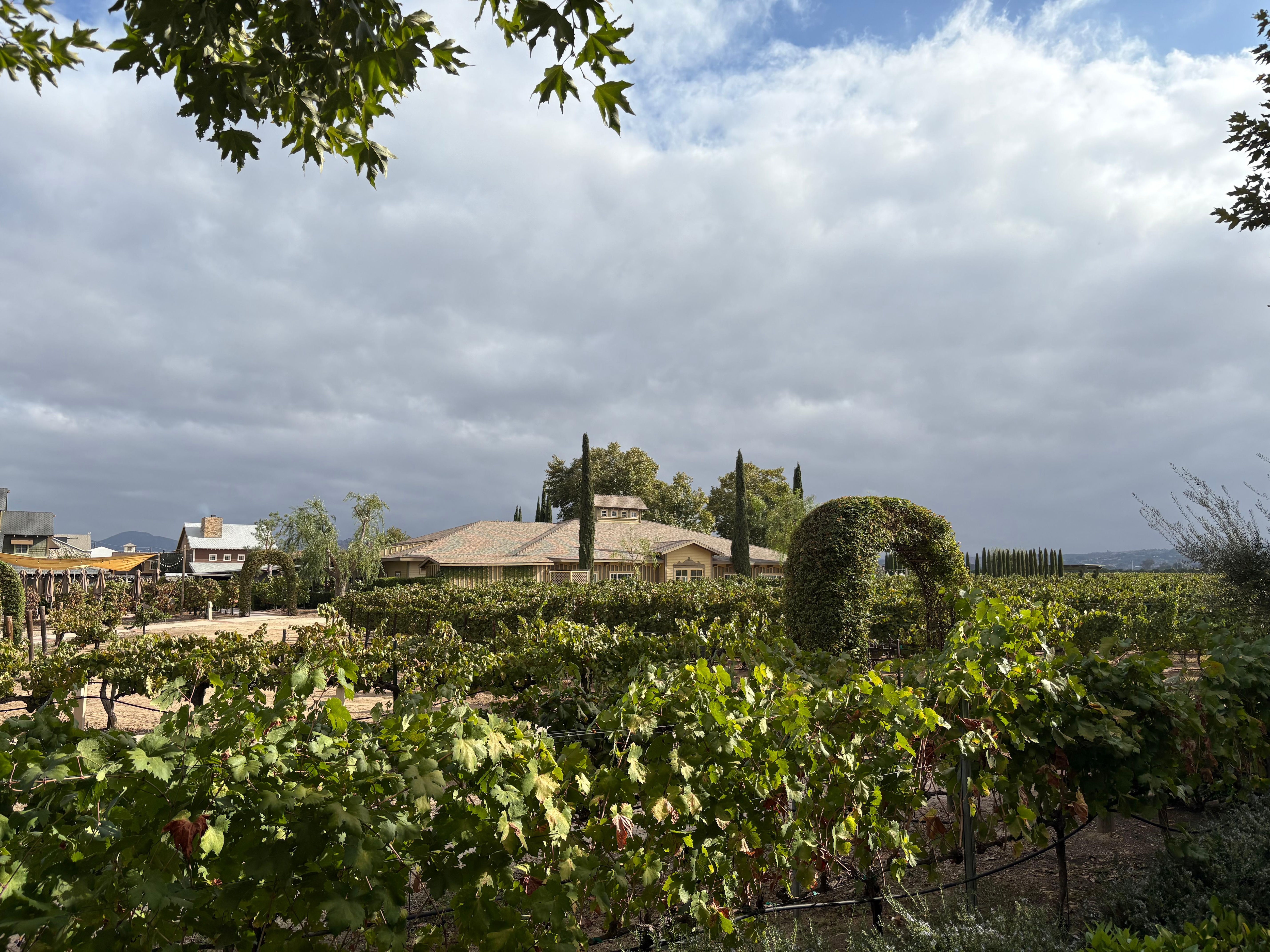 View from the room outside seating. 