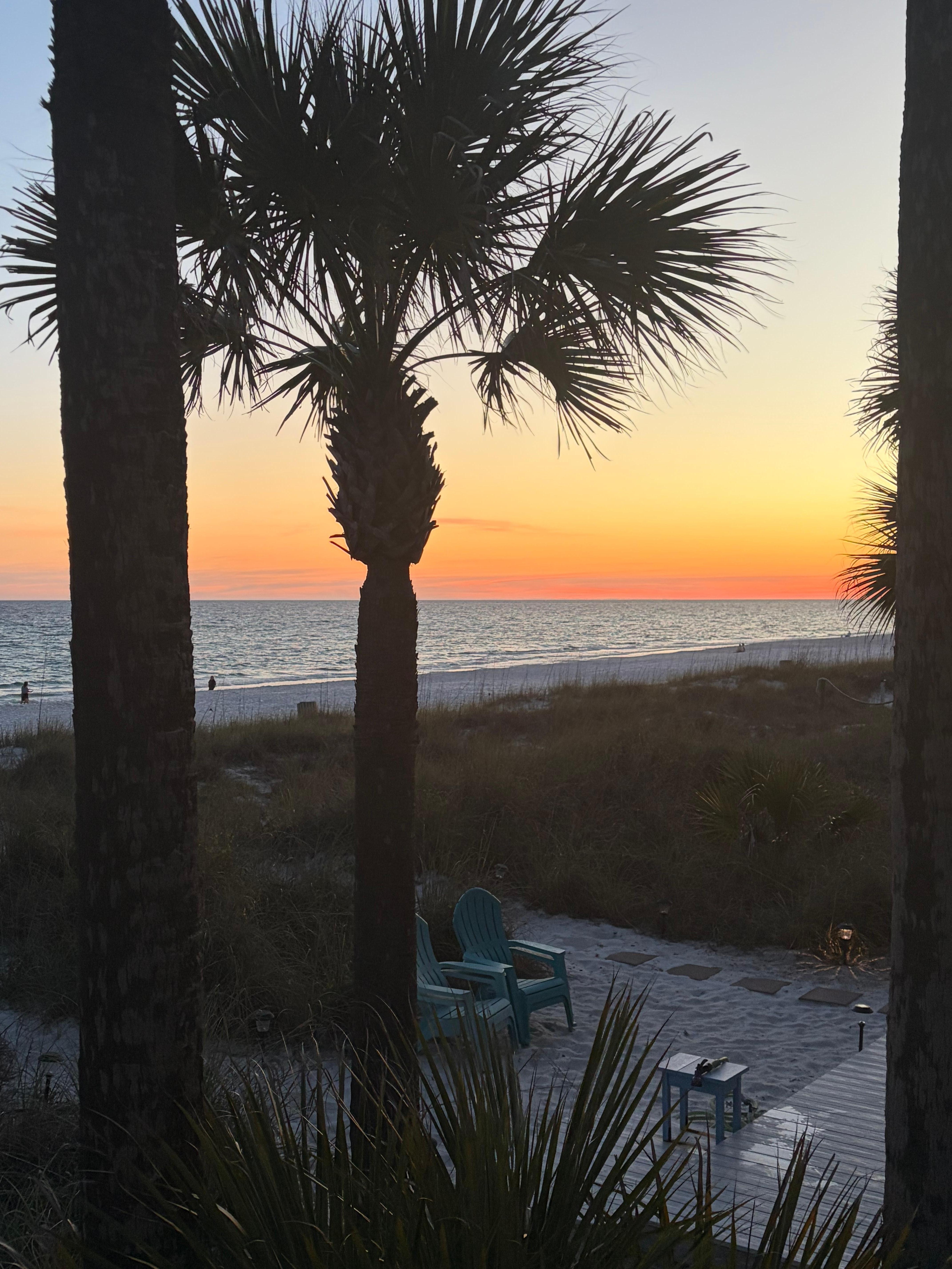 View of sunset from our back porch 