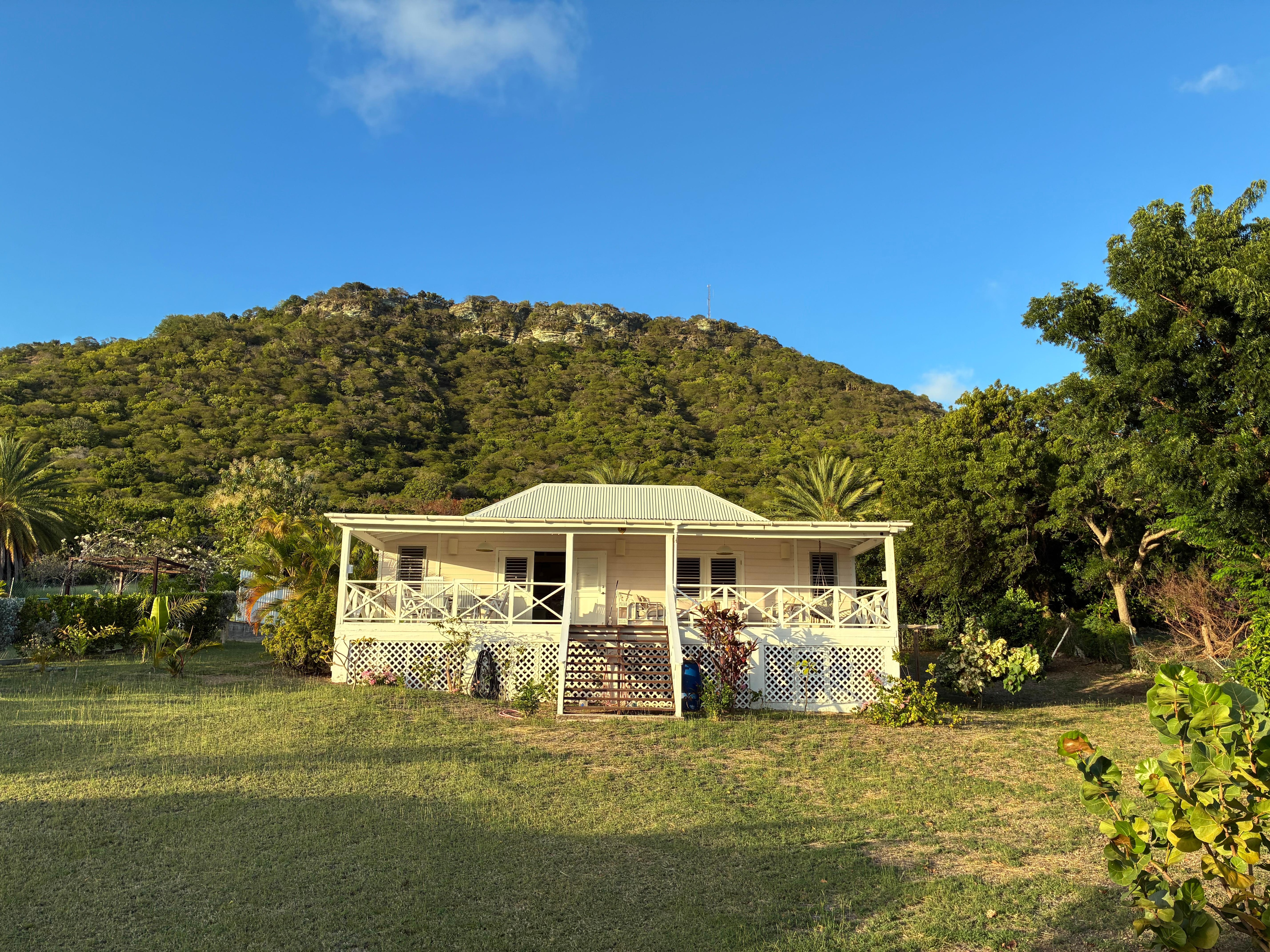 From the house looking at the hill 