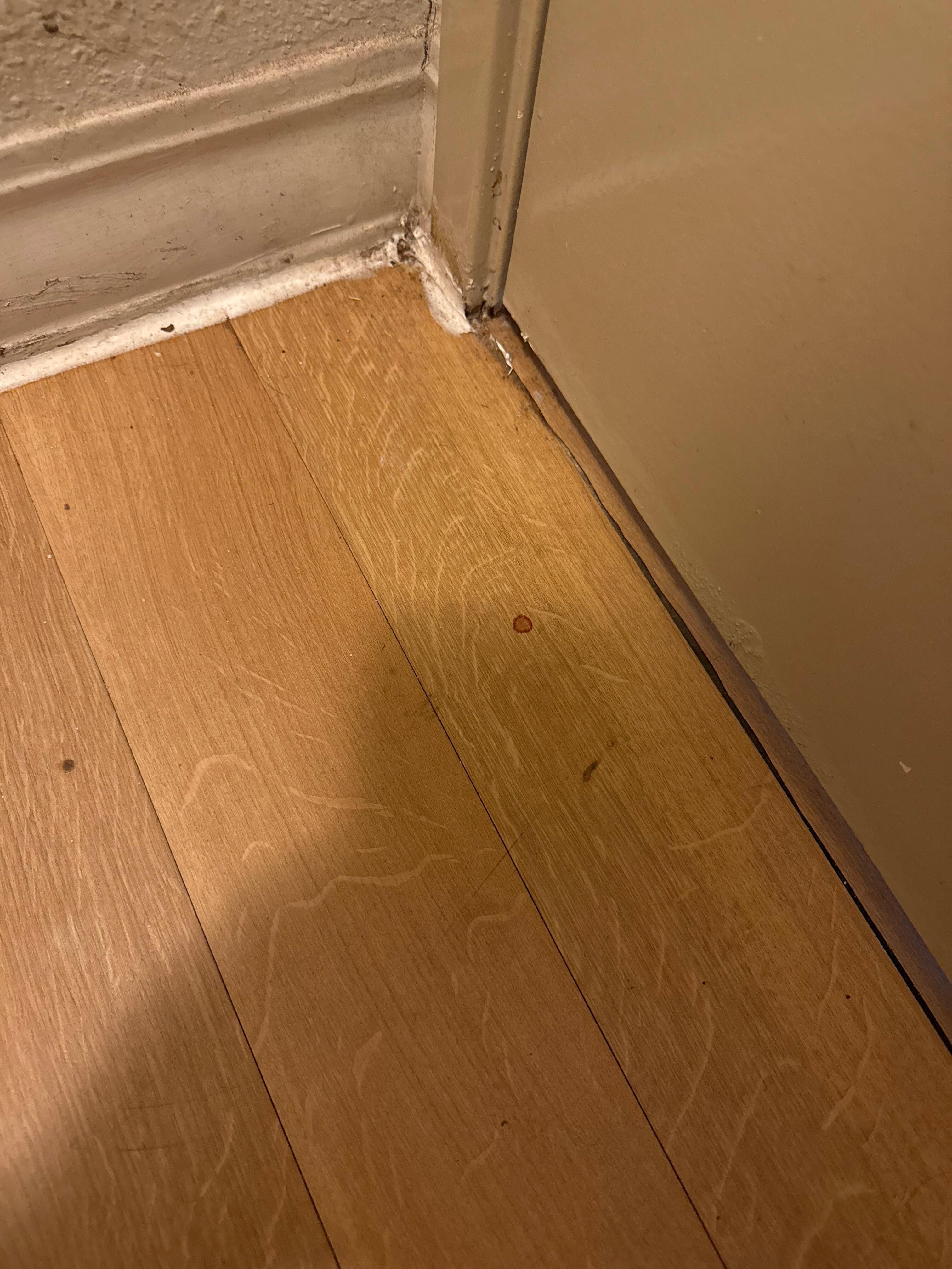 Dirty floor and what appears to be blood droplets 