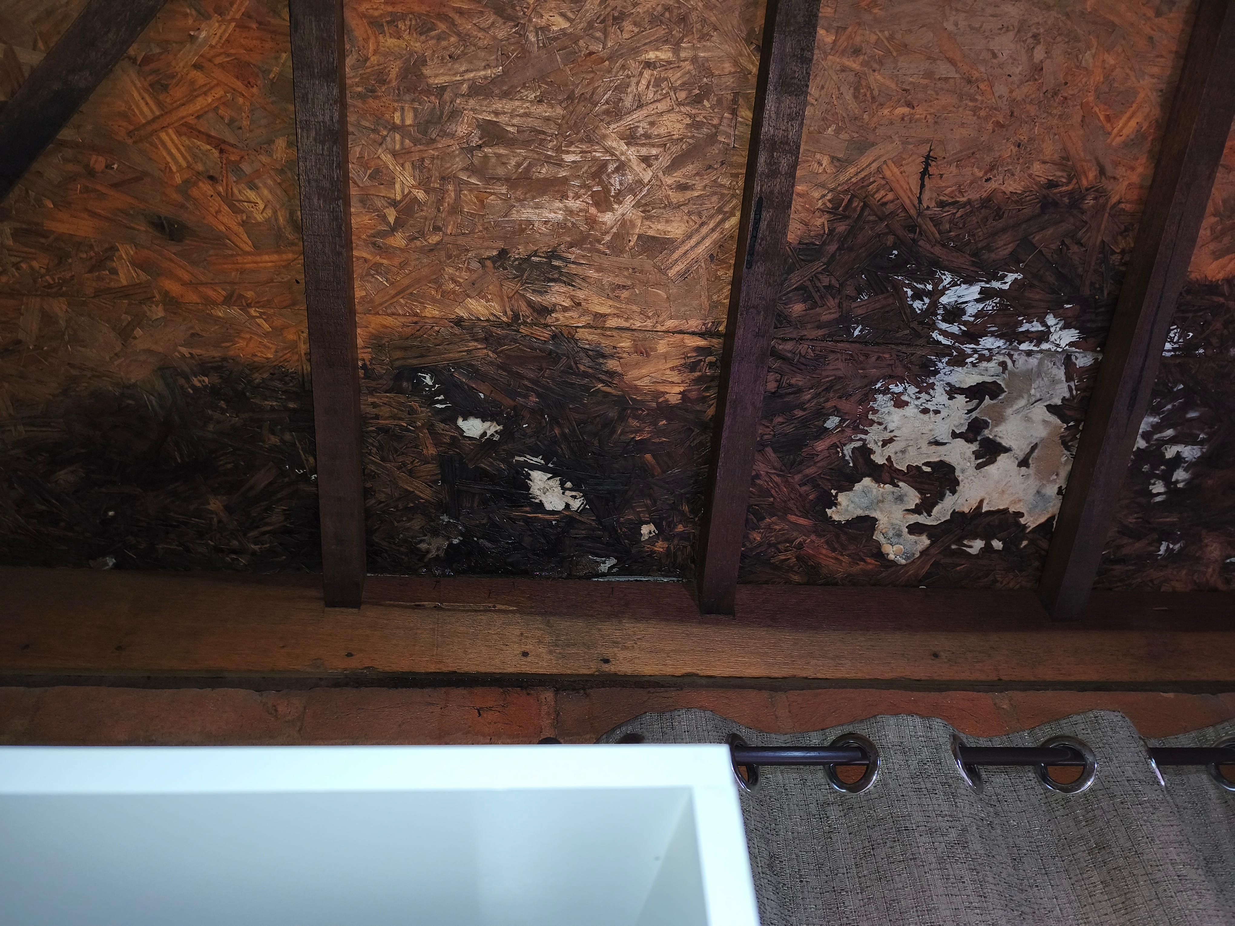 Goteiras no teto quando chove vários pontos