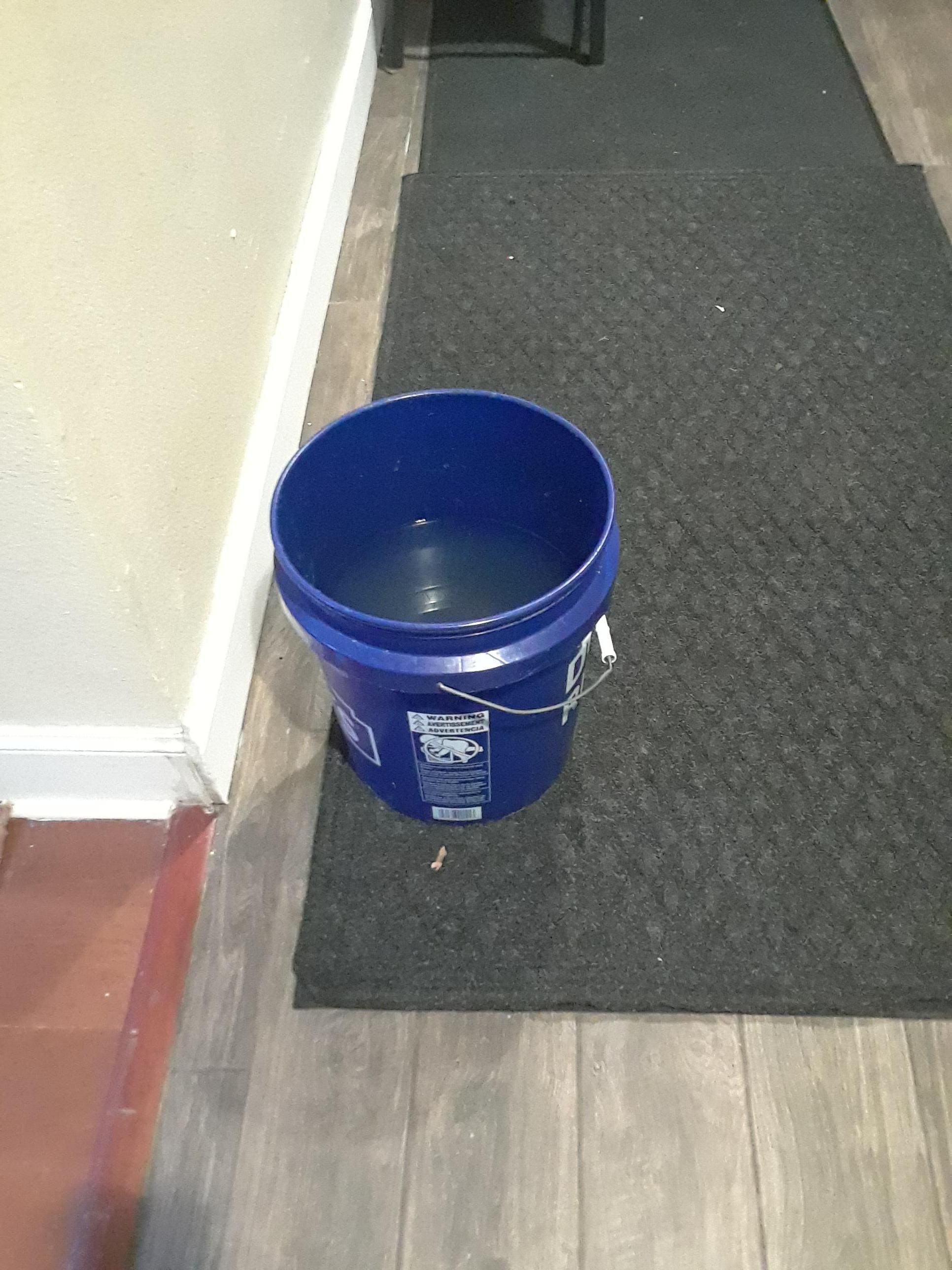 Bucket of dripping rain water