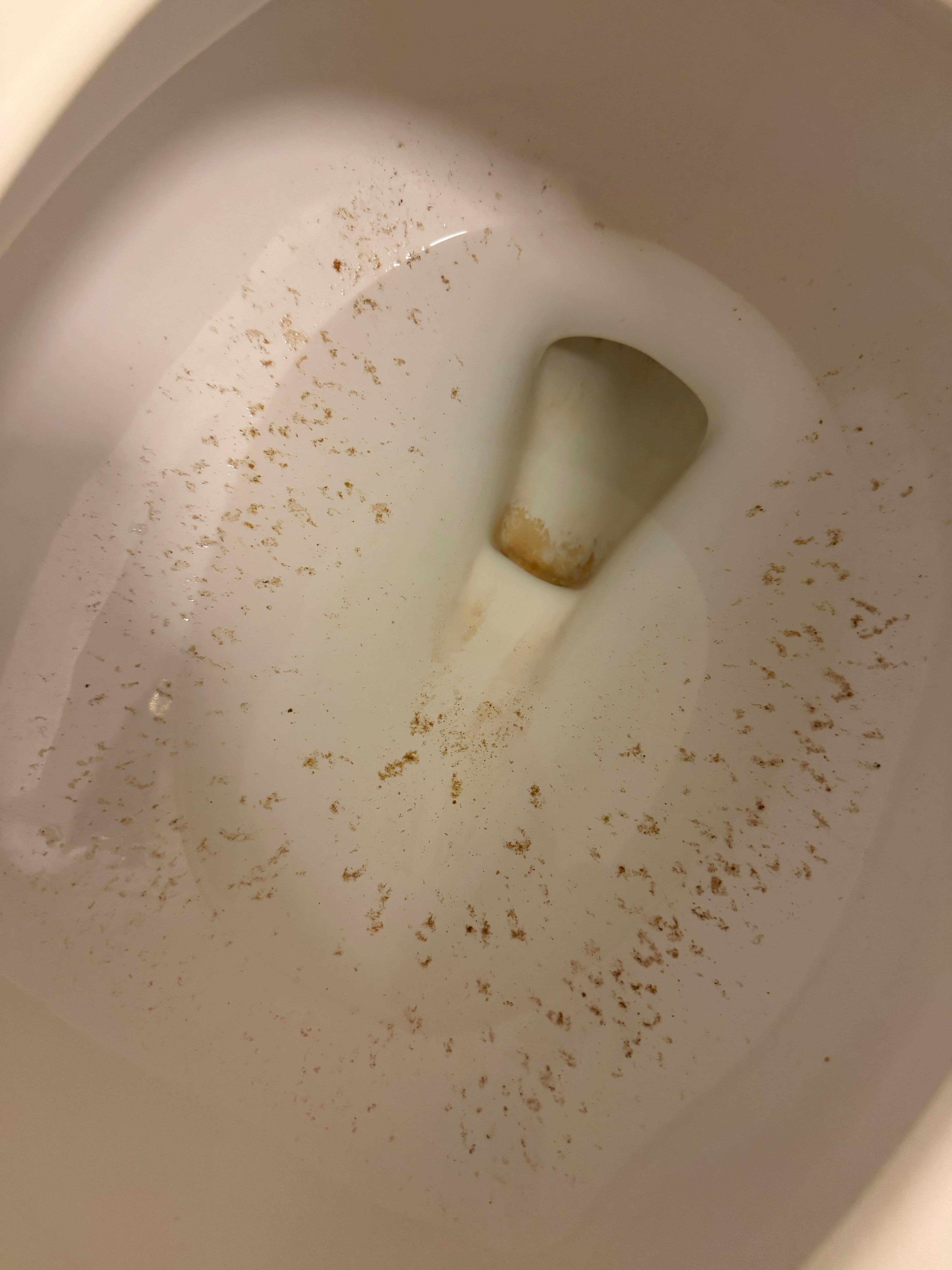 Toilet when we checked in. 