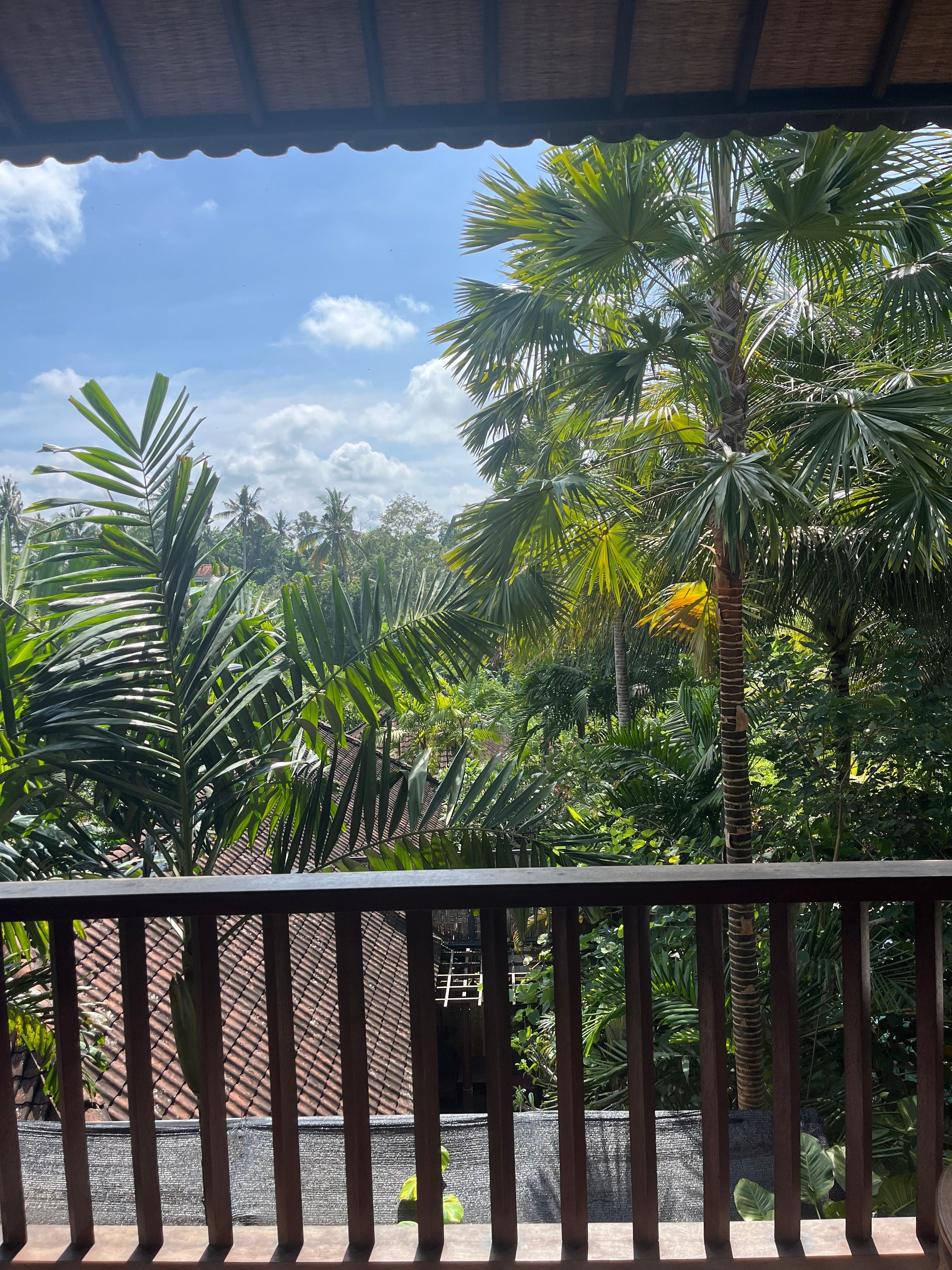 Our view of rice fields from  third floor, near the spa.
