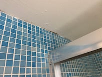 Bathroom mold