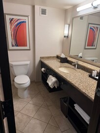 Spacious bathroom