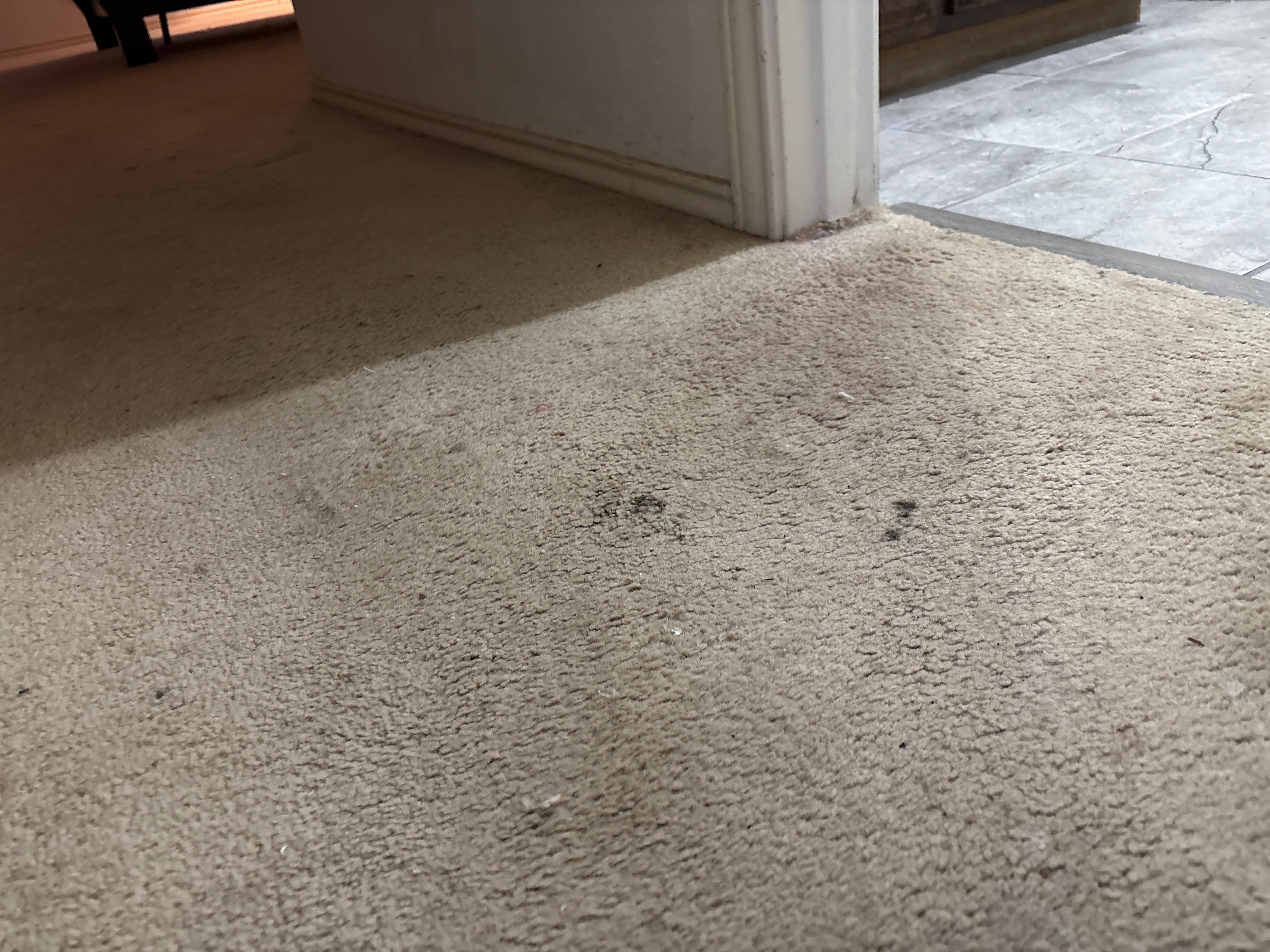 Dirt/other on floor