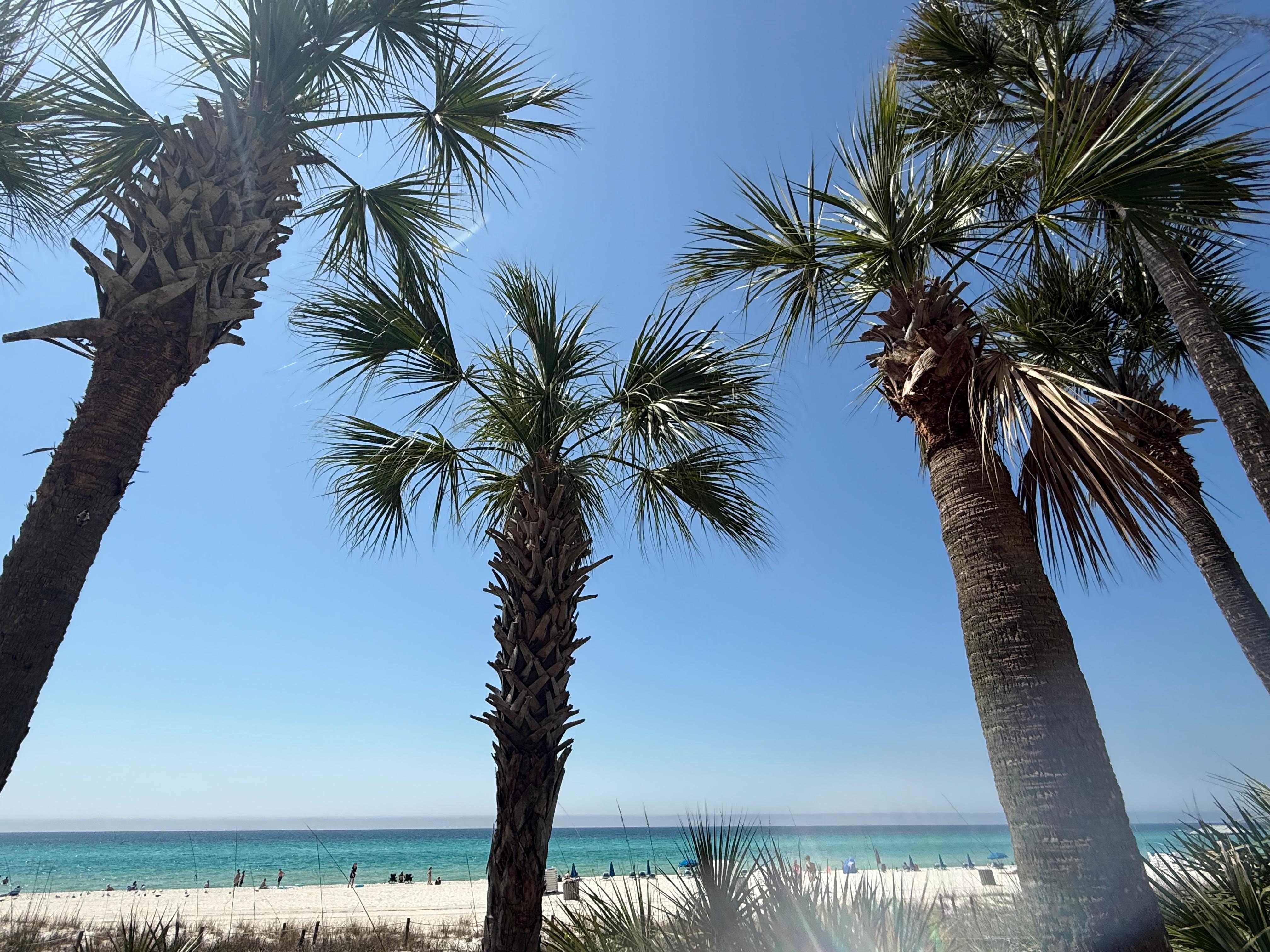 View from the pool area