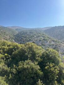 Hill top view