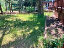 Grass really tall couldn’t have the kids play in the backyard