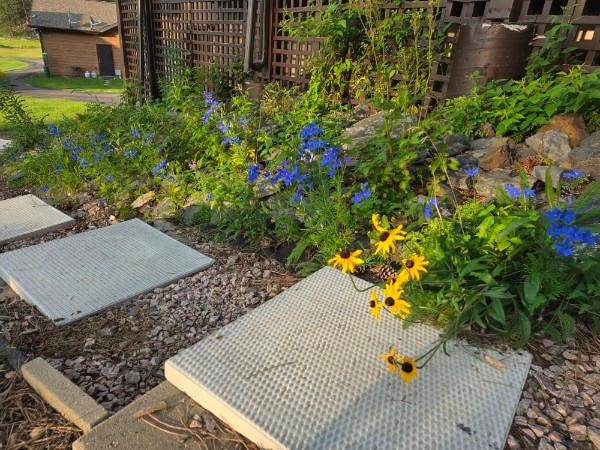 Beautiful flowers on cabin walkway