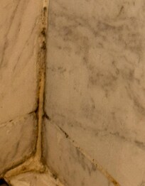 Mouldy Bathroom