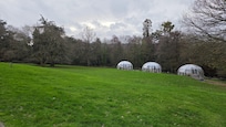 Pods in the grounds