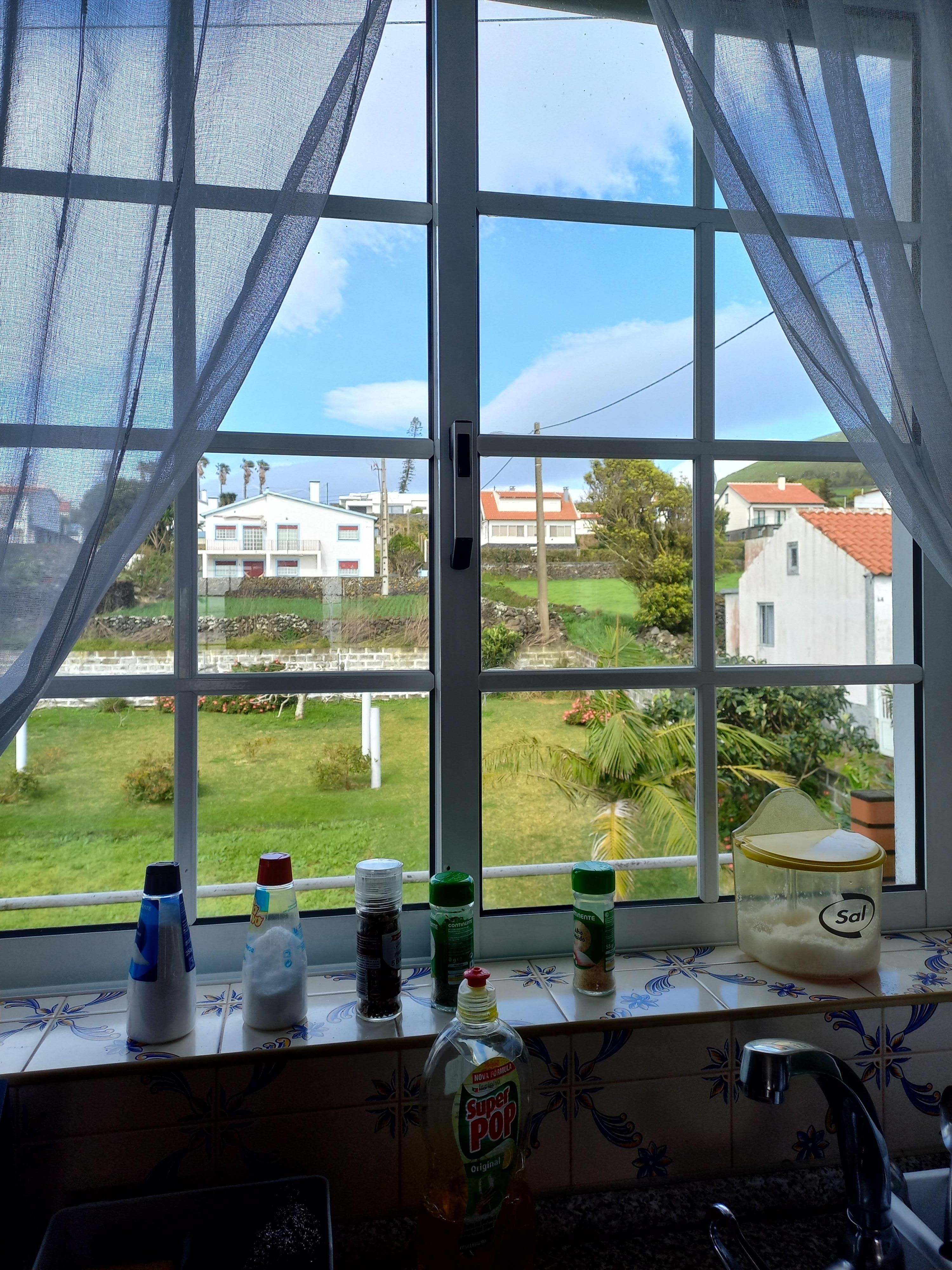 View looking out my kitchen window