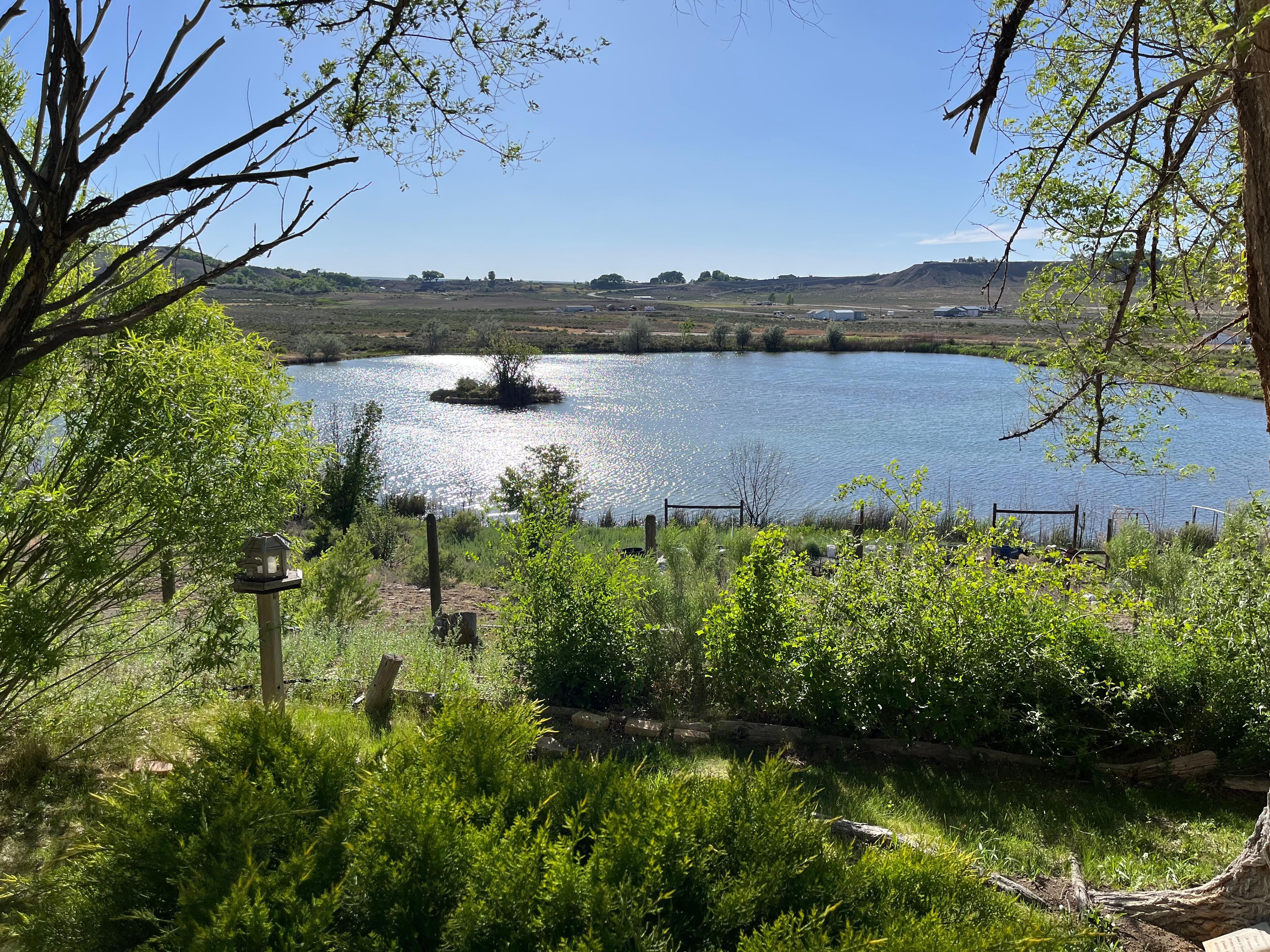 View out the back.