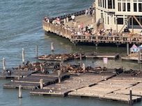 Pier 39