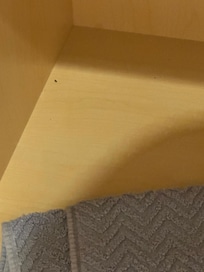 Mouse feces in bathroom towel cabinet. Had to wash all the towels and store in dryer to keep clean.