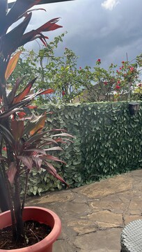 Rooftop view