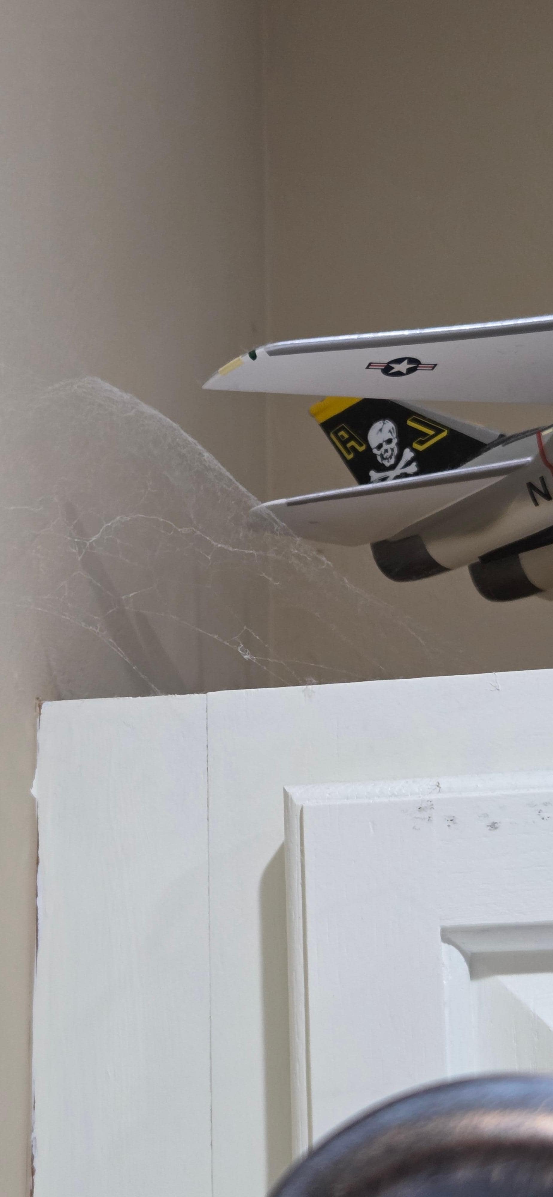 cobwebs above kitchen cabinet