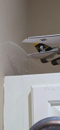 cobwebs above kitchen cabinet