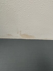 Damp spot in bedroom.