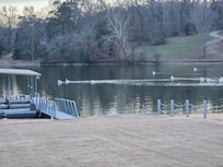 Some of the many waterfowl we saw.