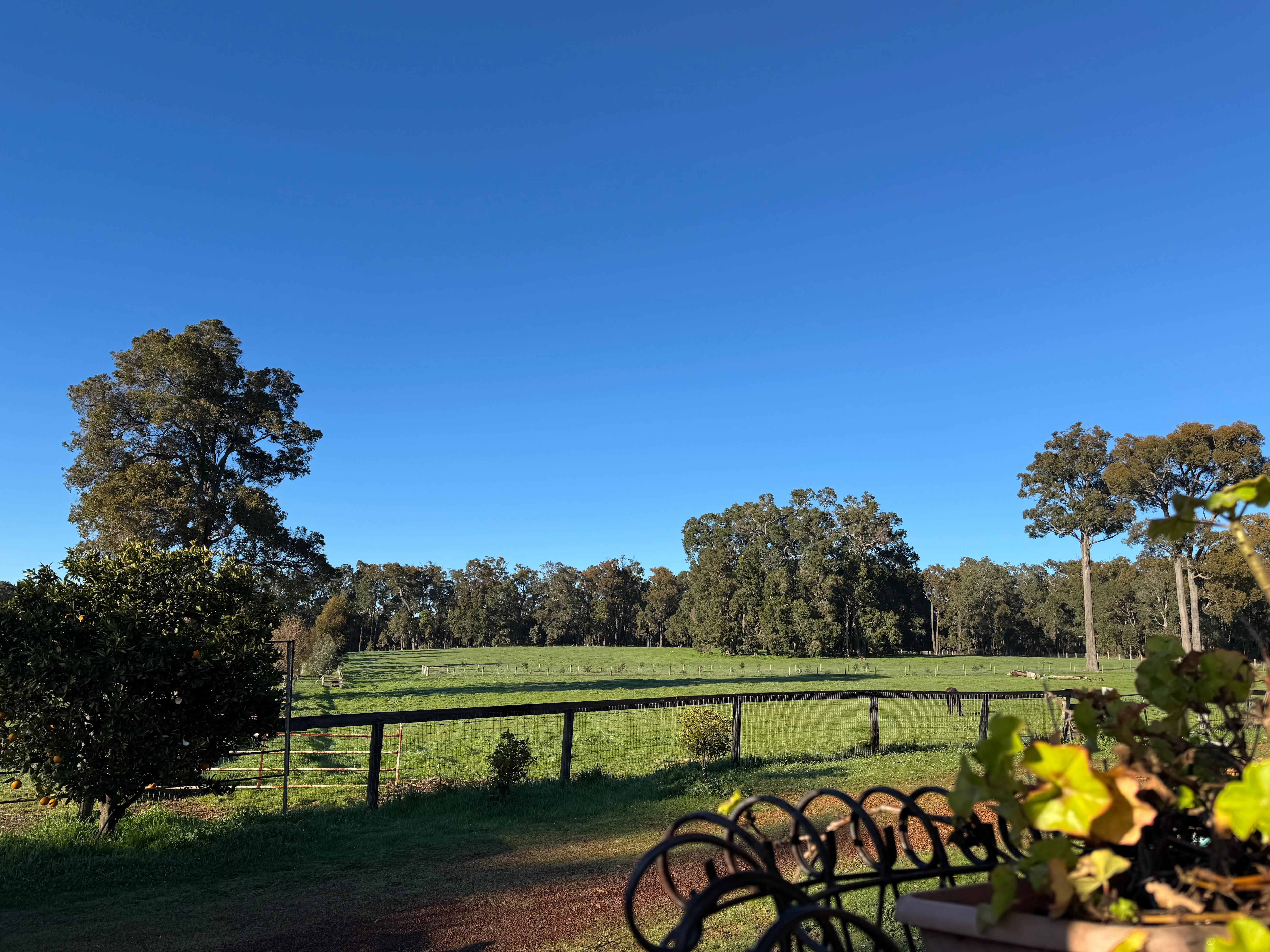 Outside the front door 1