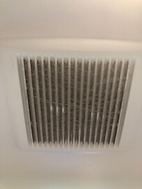 Filthy bathroom fan