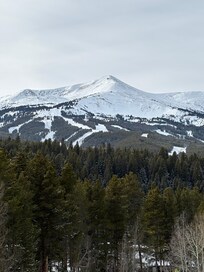 View from windows daytime