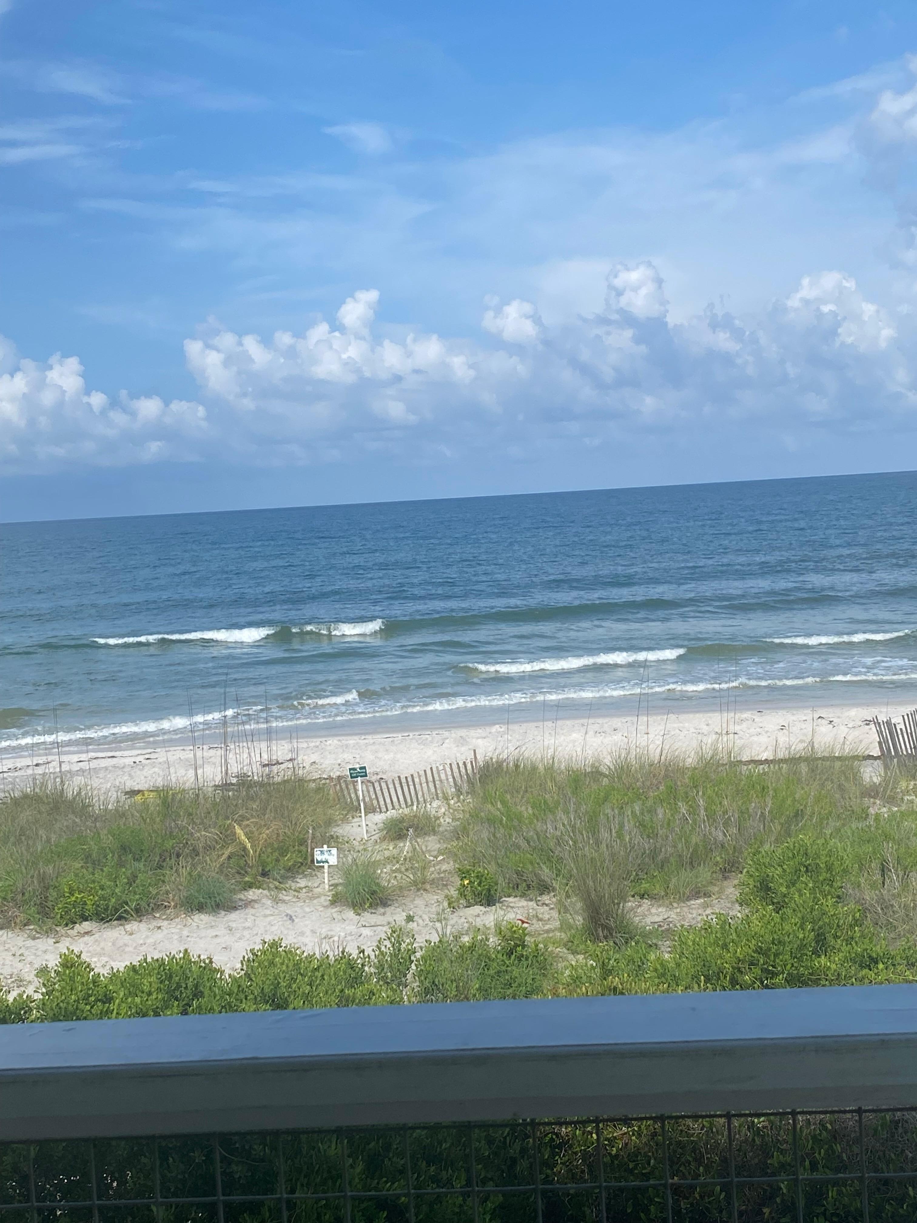 View from house