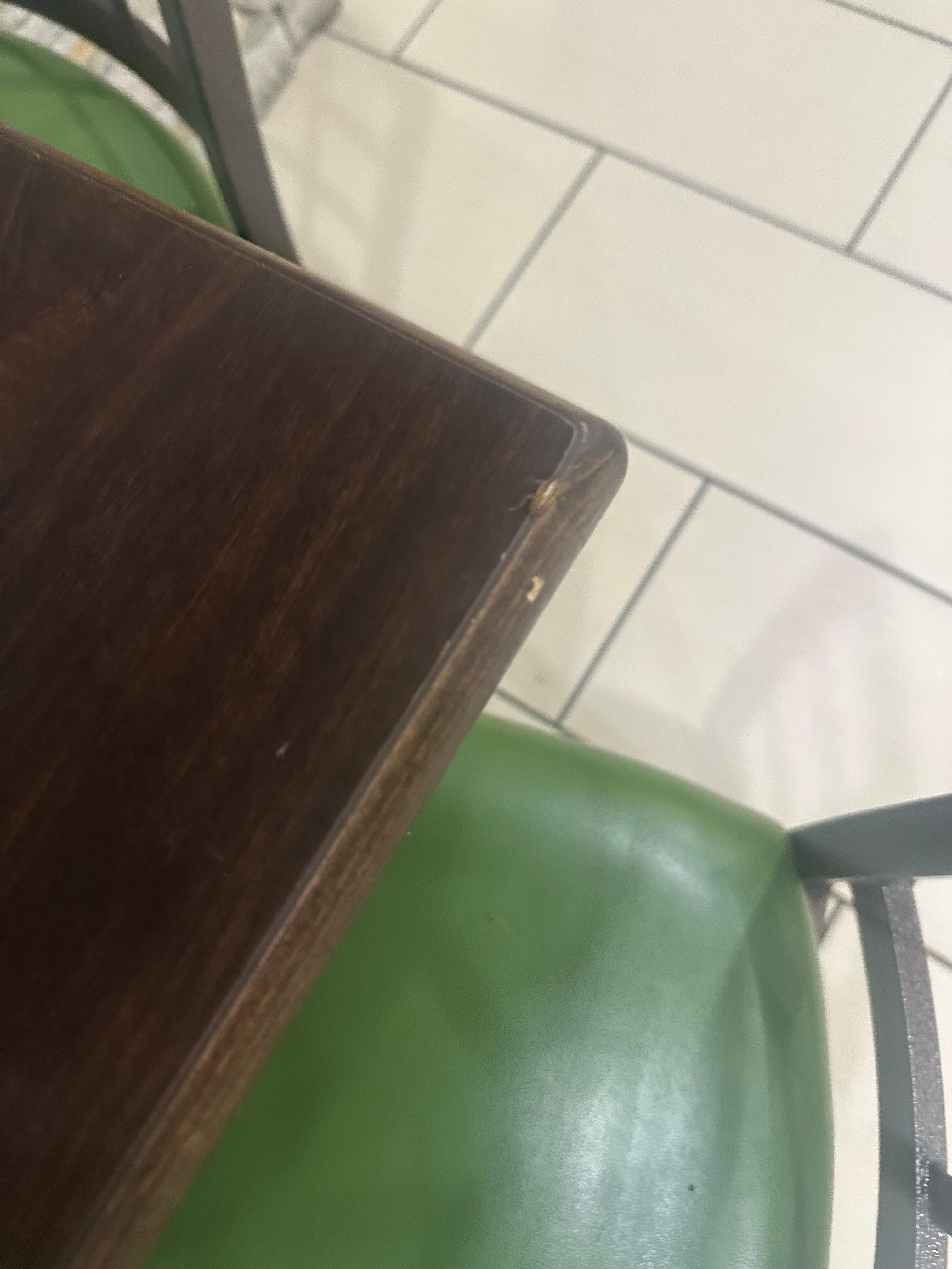 Roach on kitchen table 