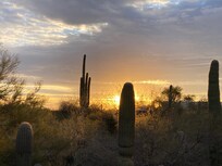 Sunrise view out back