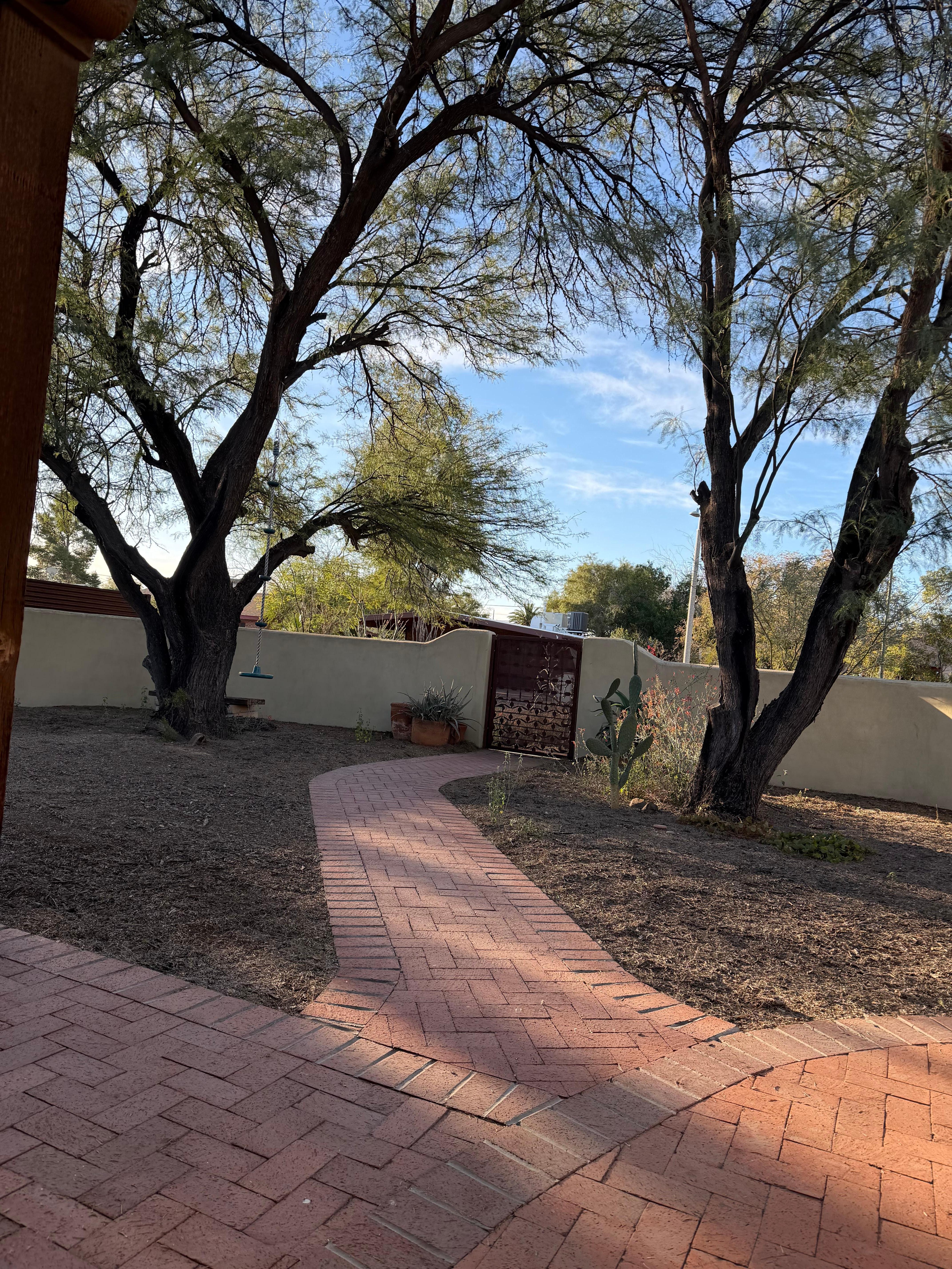 There were multiple hummingbirds every morning. Peaceful for morning coffee.